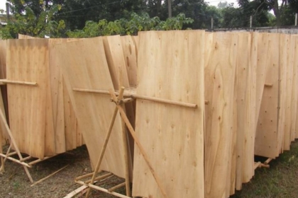 Hội thảo xây dựng Dự án “Phát triển sản xuất ván mỏng từ gỗ Bạch đàn và gỗ Keo tại Việt Nam và Australia”