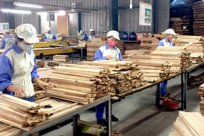 Không thu thuế xuất khẩu gỗ