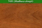 Viết